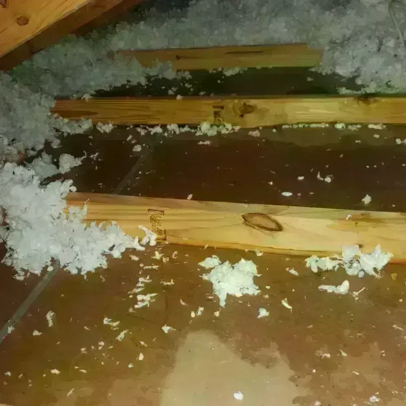 Attic Water Damage in Colfax, WA