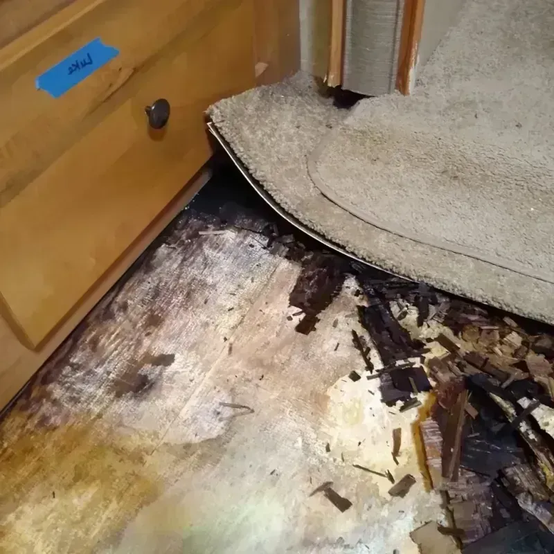 Best Wood Floor Water Damage Service in Colfax, WA